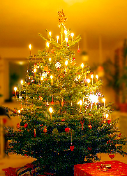 L'albero di Natale